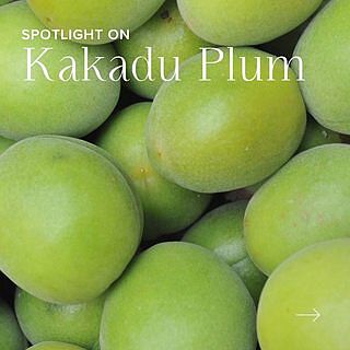 PLUMPERS™ Kakadu Plum & Berry