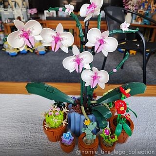 LEGO® Orchid