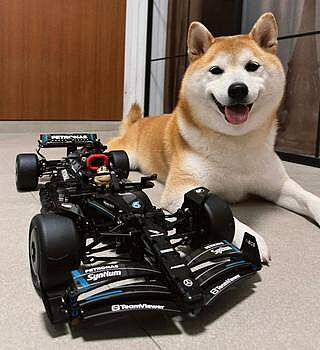 LEGO® Technic™ Mercedes-AMG F1 W14 E Performance