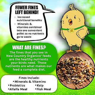 Organic Power Pellet Layer Feed, 40lbs