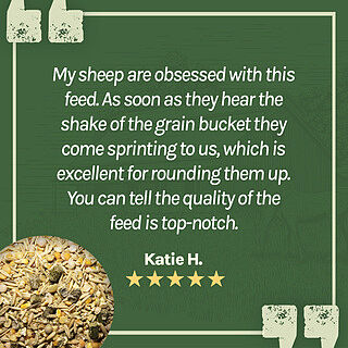 Organic Sheep Feed, 40lbs