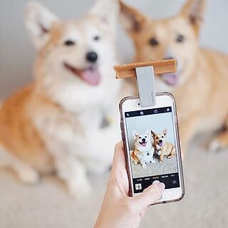 WOOFIE