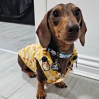 Rubber Ducky: Raincoat
