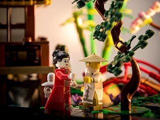 LEGO® ICONS™ Tranquil Garden