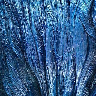 Blue Ruin