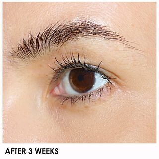 XL LASH Volumizer