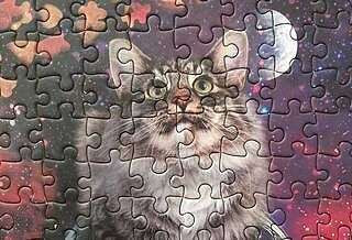1000 PIECE PUZZLE: GALAXY CATS