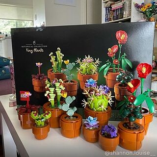 LEGO® ICONS™ Tiny Plants