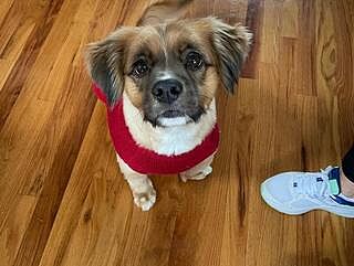 WOOFIE