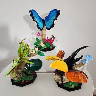 LEGO® Ideas The Insect Collection