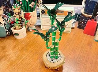 LEGO® Botanicals Lucky Bamboo
