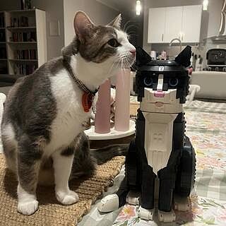 LEGO® Ideas Tuxedo Cat