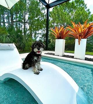 Signature Chaise Deep