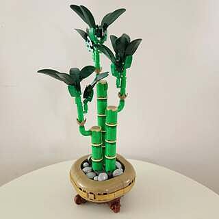 LEGO® Botanicals Lucky Bamboo