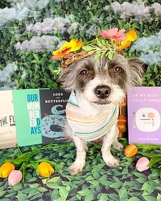 Our Numbered Days - E-book