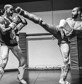 Funk Strike Hook & Loop Shin Guards