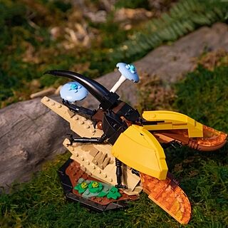 LEGO® Ideas The Insect Collection