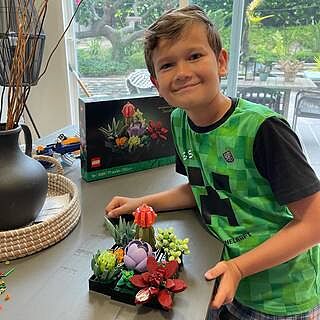 LEGO® Succulents