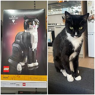 LEGO® Ideas Tuxedo Cat