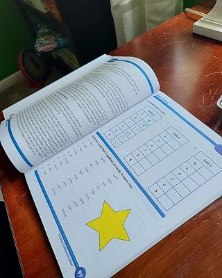 Summer Bridge Activities Workbook Grade 2-3 Paperback