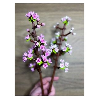 LEGO® Cherry Blossoms