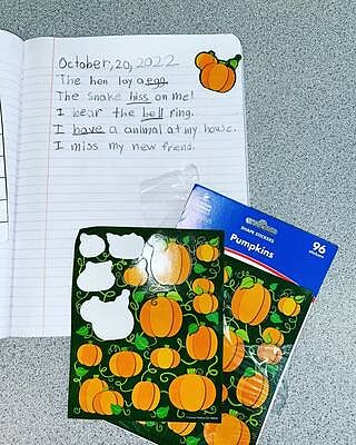 Pumpkins Shape Stickers