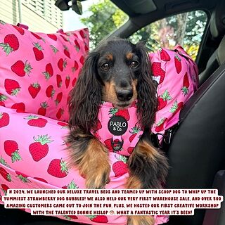 Strawberries: Adjustable Harness