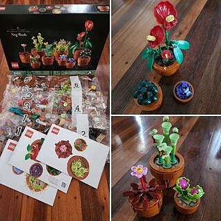 LEGO® ICONS™ Tiny Plants