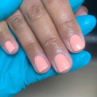 Gel Polish - Niche