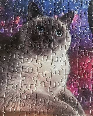 1000 PIECE PUZZLE: GALAXY CATS
