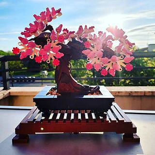 LEGO® Creator Expert Bonsai Tree