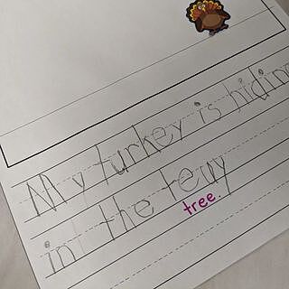 Turkeys Shape Stickers