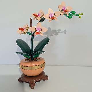 LEGO® Botanicals Mini Orchid