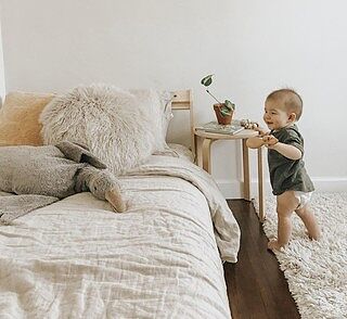 Organic Gray Goose Warming Pillow