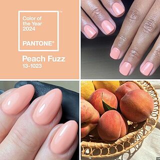 Gel Polish - Niche