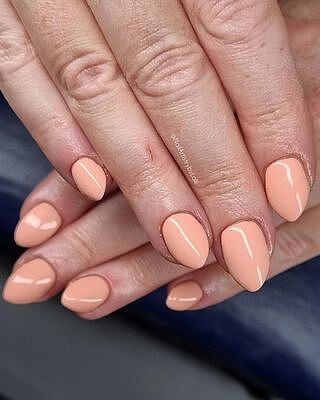 Gel Polish - Niche