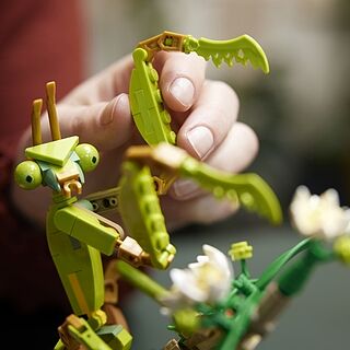 LEGO® Ideas The Insect Collection