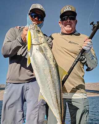 There’s no shortage of skilled anglers out there, but few match these two. More game than a high school quarterback on homecoming night.
Holding it down in Bahía de los Ángeles, Joel @joelssportfishing and Ben Secrest @bensecrest of @accuratefishing put on a masterclass again in Happy Boost lenses.
Whether it's fat cabrilla or fired-up yellows, these guys don’t miss. Shades on point the Overhaul XL and Rebar, both in Happy Boost lenses. Rods bent. Mission accomplished.
#SPYOptic #WatermanCollection #OverhaulXL #FishingBaja #BuiltForTheBlue #SaltApproved #SPYPlus
