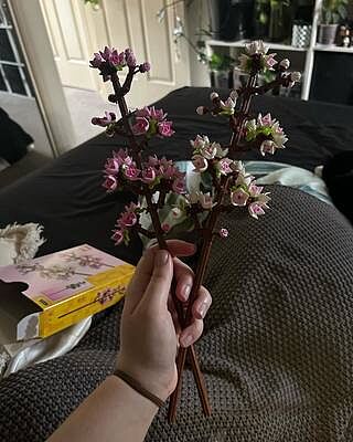 LEGO® Cherry Blossoms