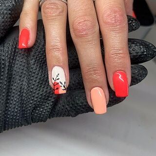 Gel Polish - Niche