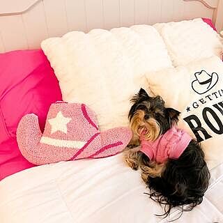 Passion Pink Sheet Set