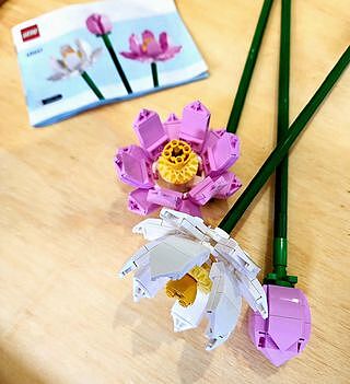 LEGO® Lotus Flowers