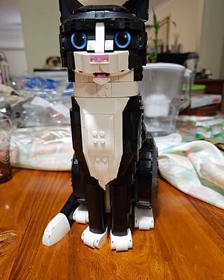 LEGO® Ideas Tuxedo Cat