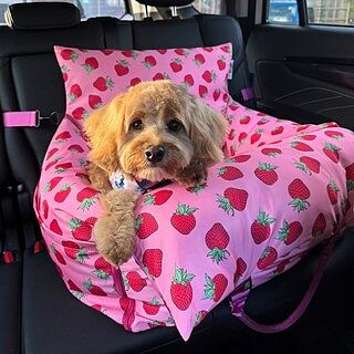 Deluxe Travel Car Bed: Strawberries