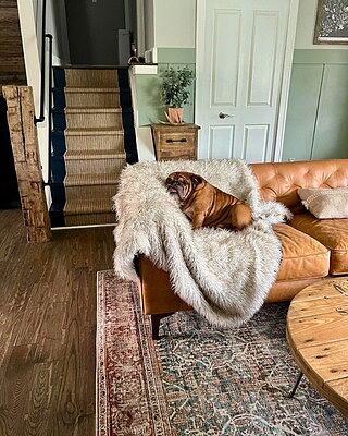 Essex 74" Apartment Sofa