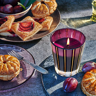 Autumn Plum Classic Candle