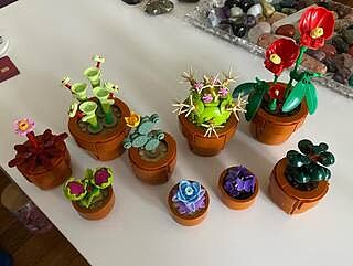 LEGO® ICONS™ Tiny Plants