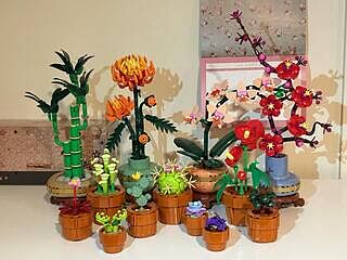 LEGO® Botanicals Lucky Bamboo