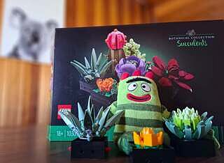LEGO® Succulents