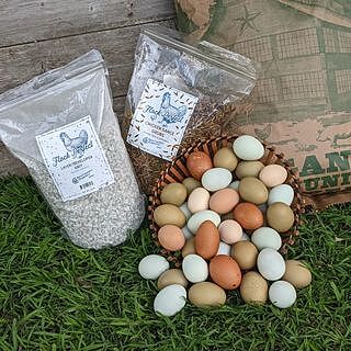 Flock Perfect Calcium & Poultry Shell, 8lbs